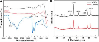 Development of ε-poly(L-lysine) carbon dots-modified magnetic nanoparticles and their applications as novel antibacterial agents